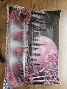 Spray Painted Picture
